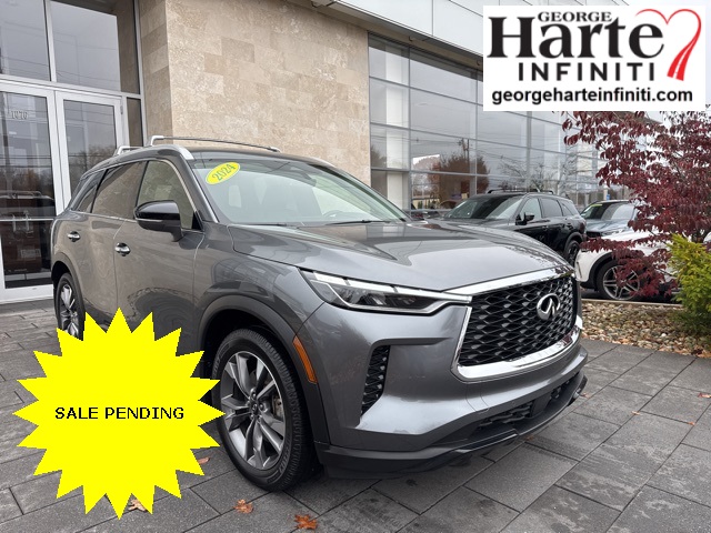 2024 INFINITI QX60 LUXE's photo