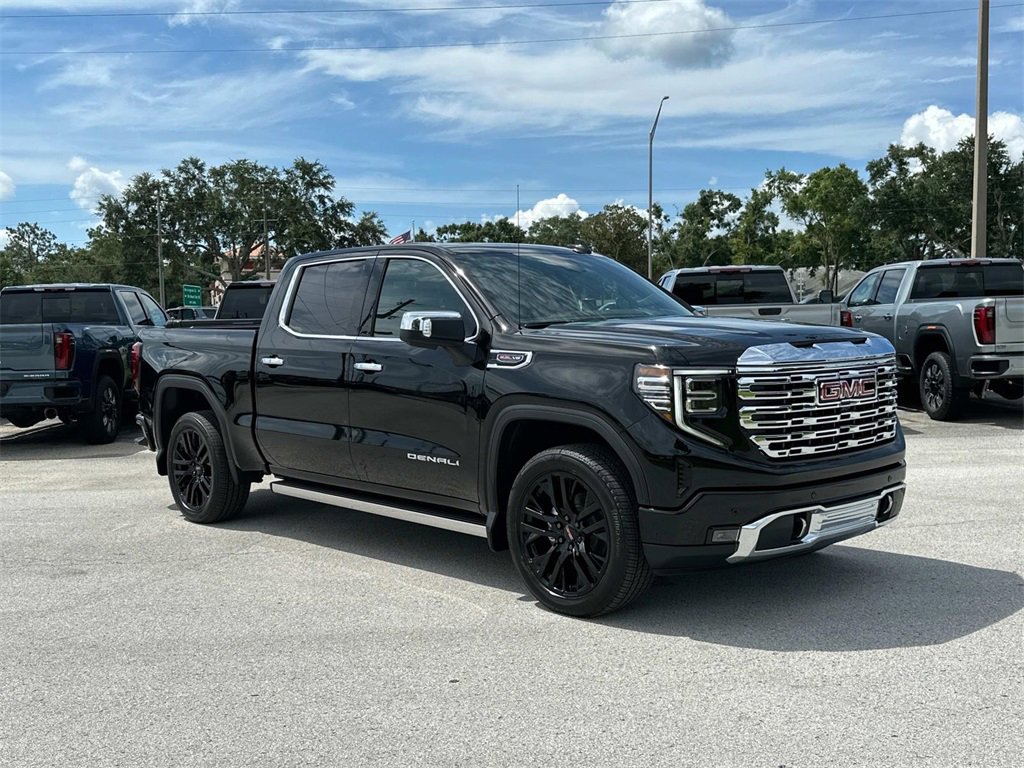 2025 Gmc Sierra 1500 Denali photo 2