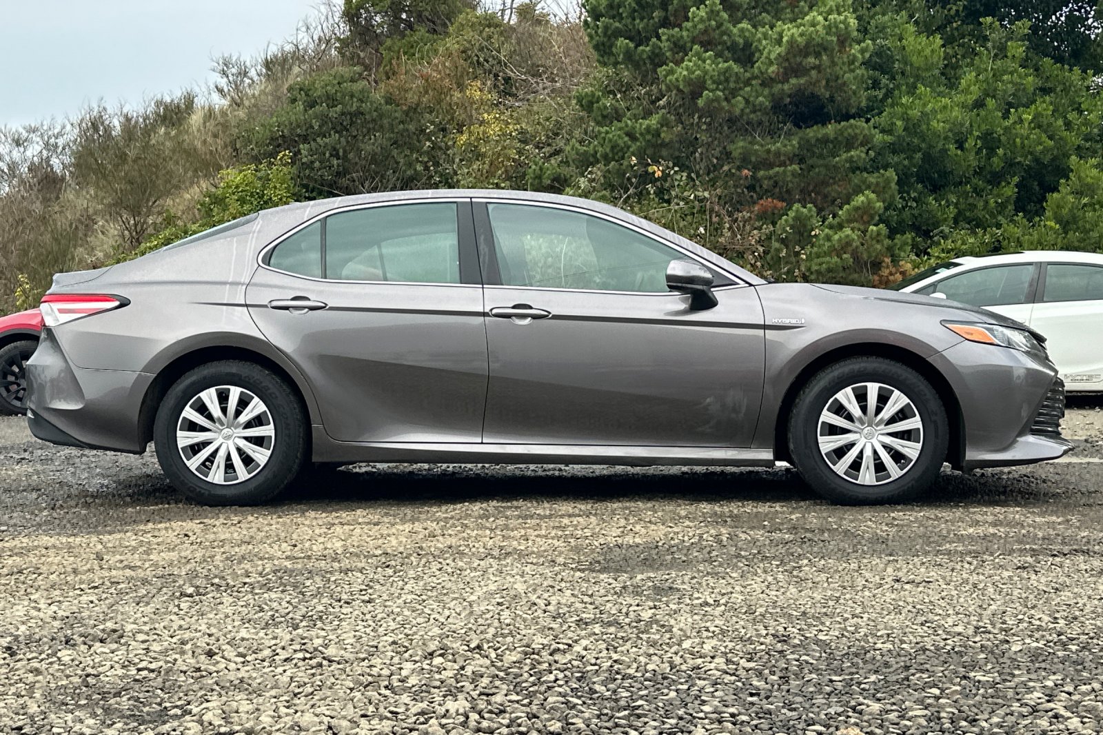 2019 Toyota Camry Hybrid LE photo 2