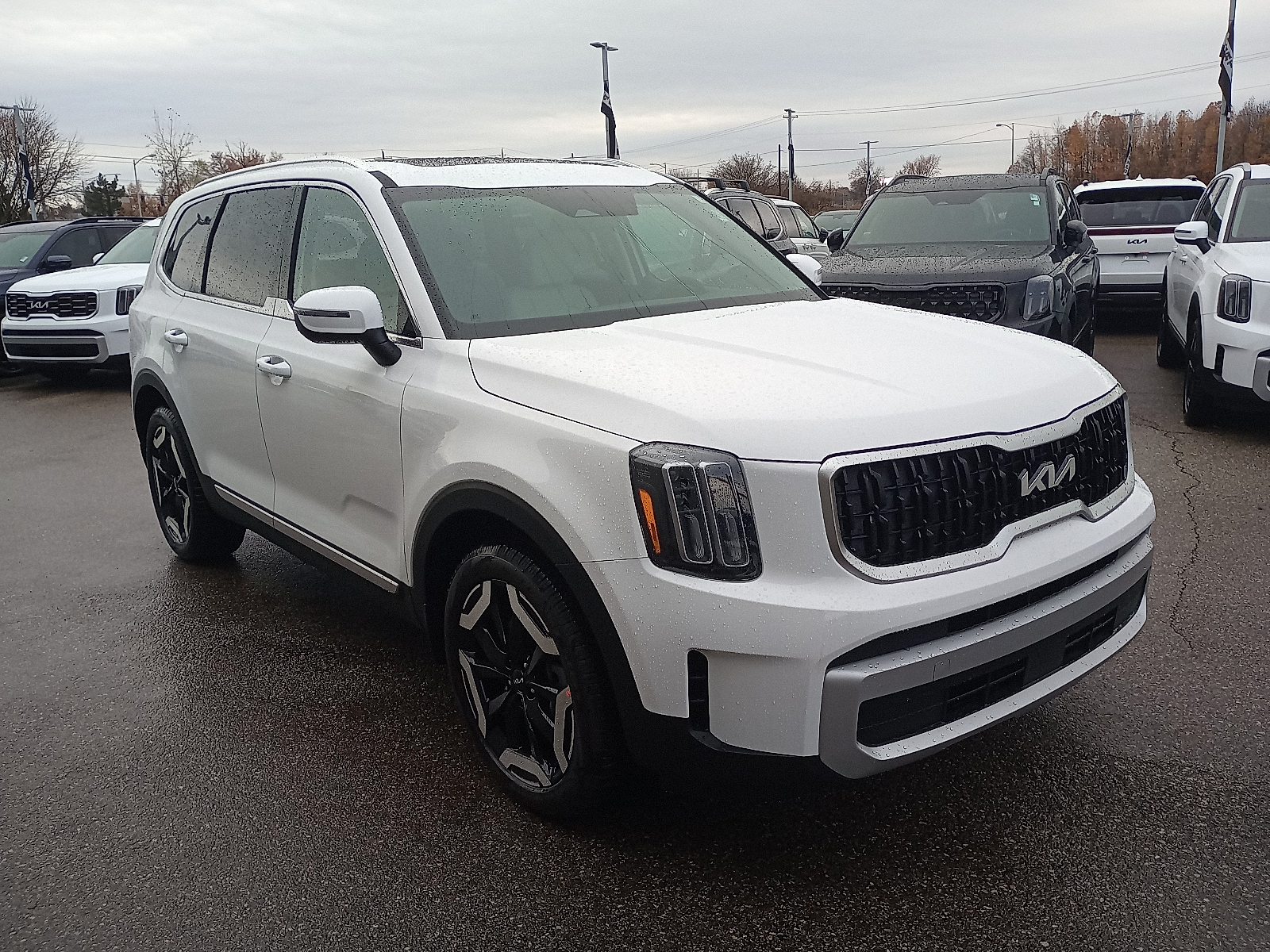 2025 Kia Telluride EX's photo