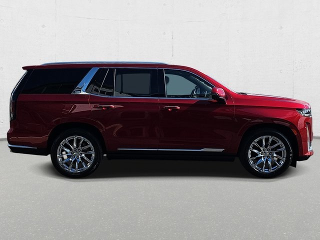 2023 Cadillac Escalade Premium Luxury photo 4