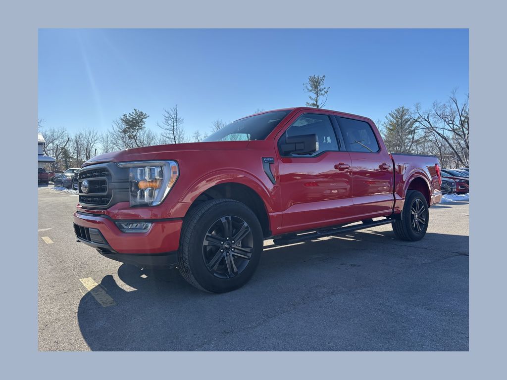 2023 Ford F-150 XLT's photo