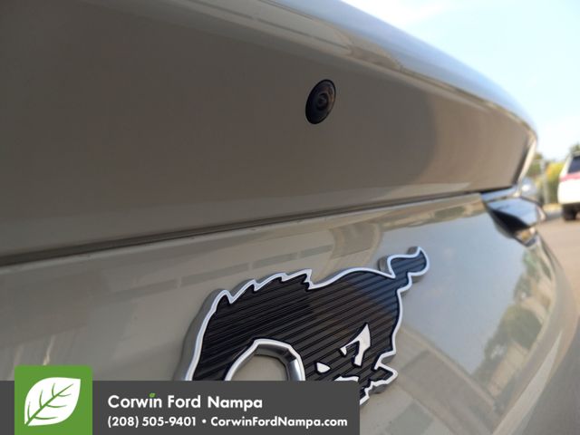 2025 Ford Mustang Mach-E Premium photo 23