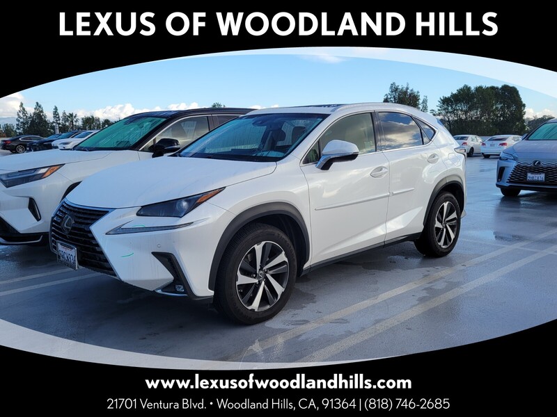 2018 Lexus NX 300's photo