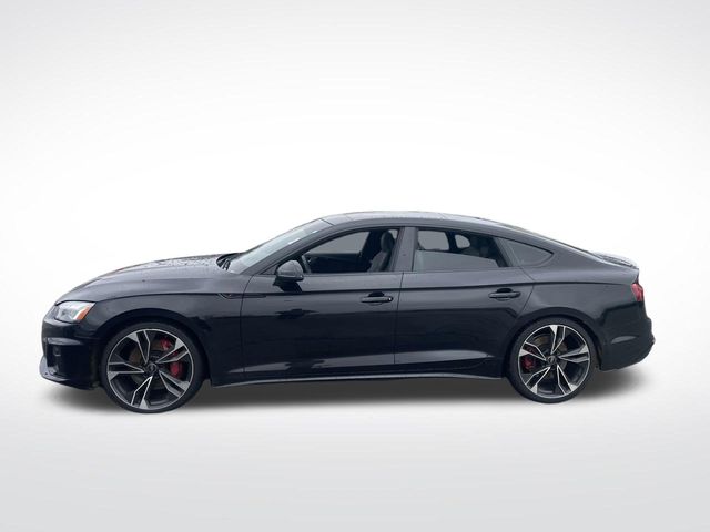 2023 Audi S5 Prestige photo 2
