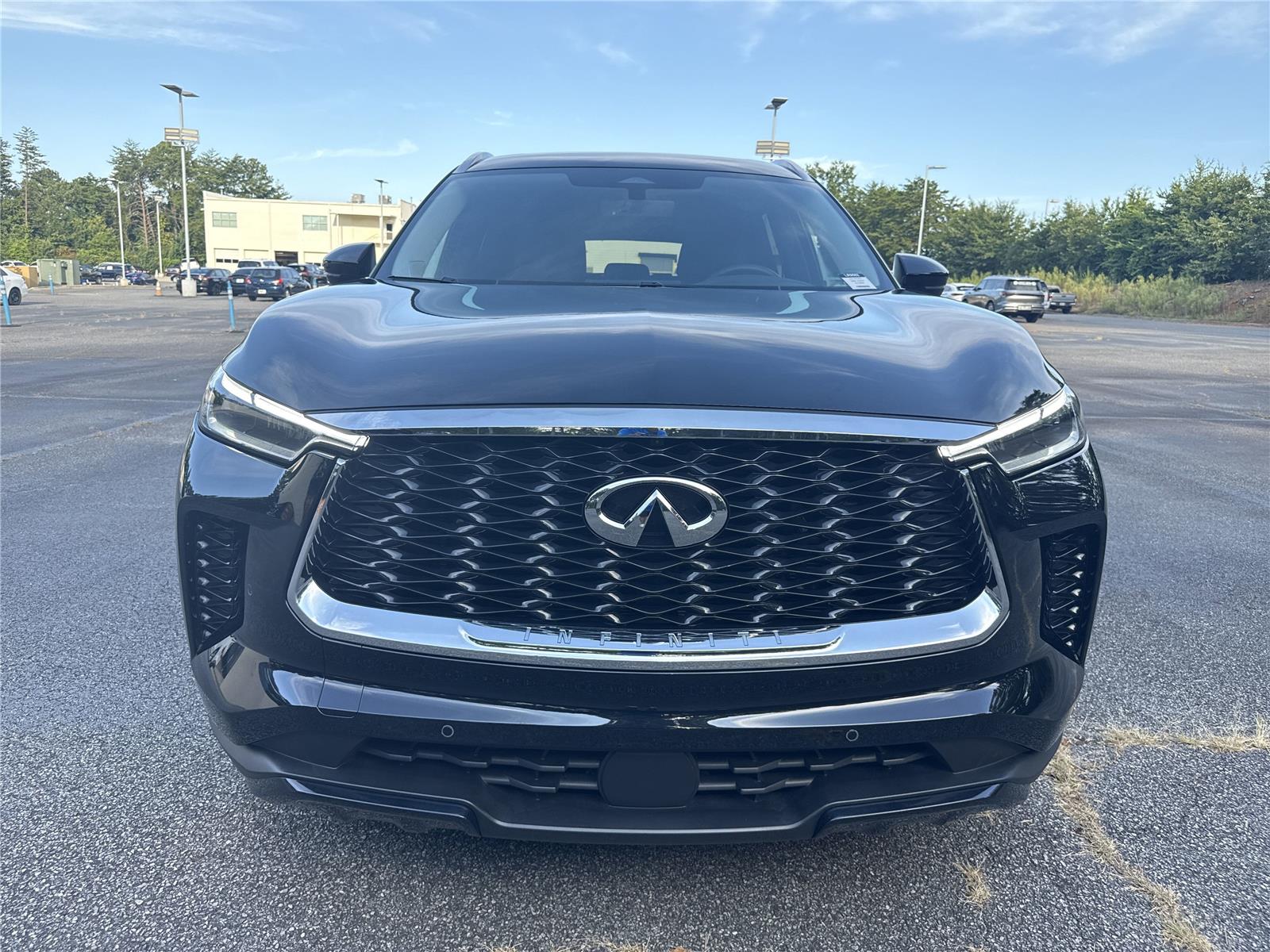 2025 Infiniti QX60 Luxe photo 2