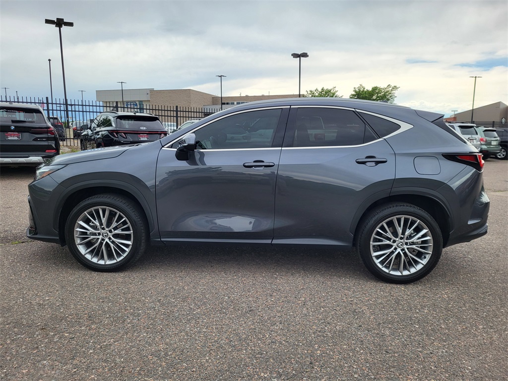 2024 Lexus NX 350h Luxury photo 7
