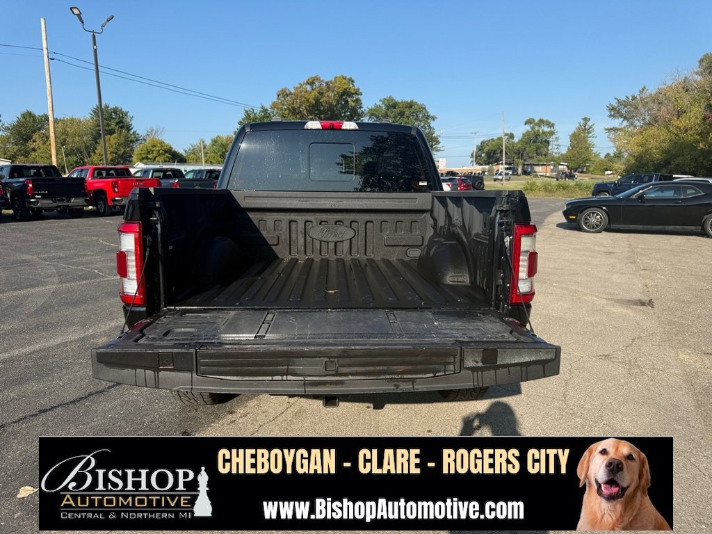 2021 Ford F-150 Platinum photo 17