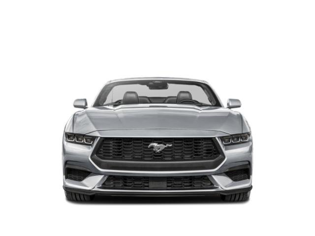 2025 Ford Mustang EcoBoost Premium photo 4