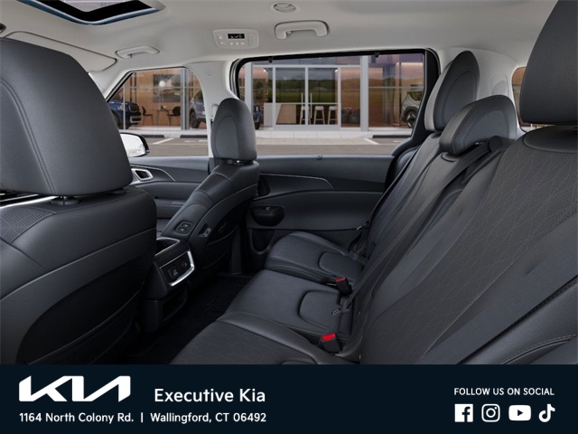 2026 Kia Carnival SX photo 13