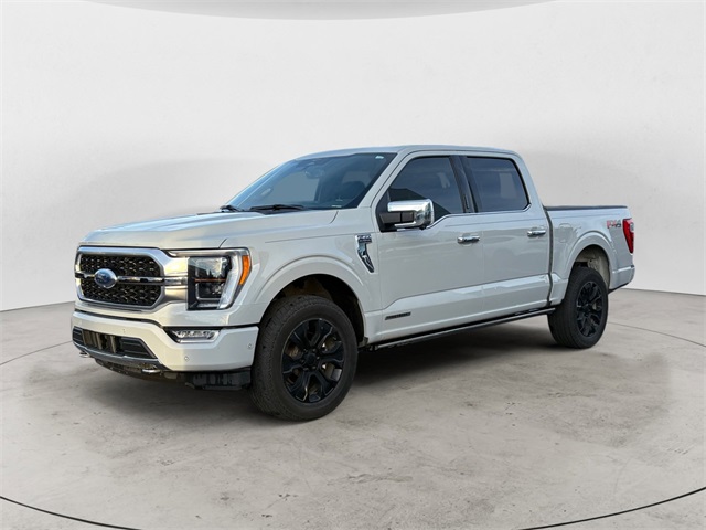2023 Ford F-150 Platinum's photo