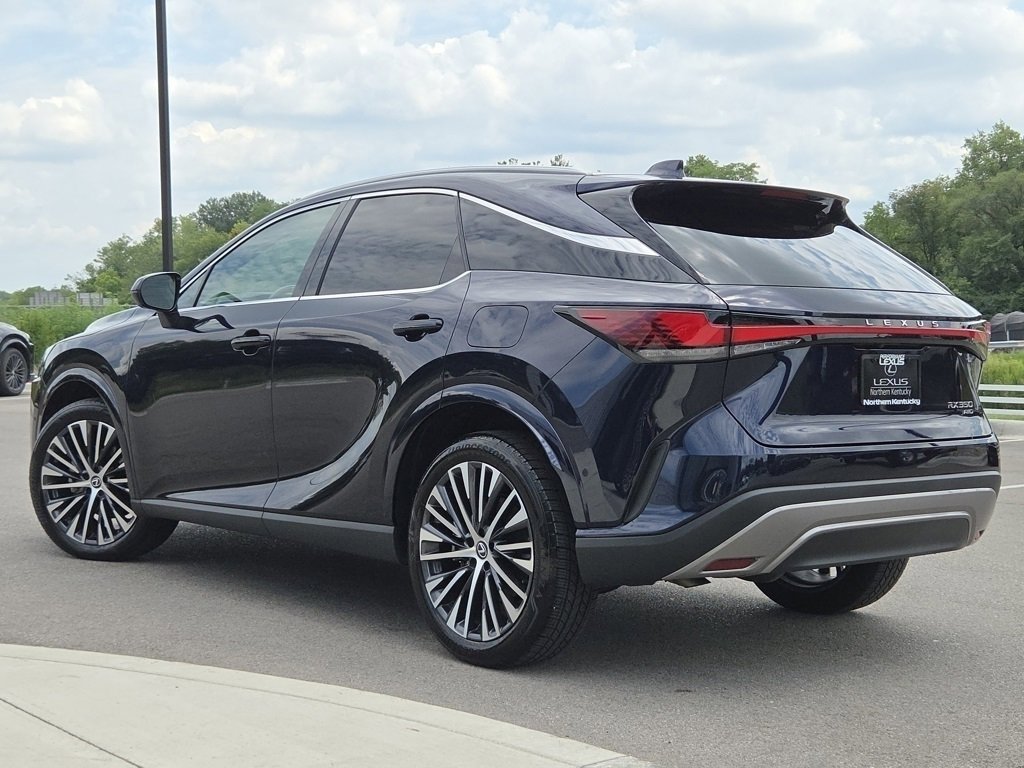 2025 Lexus RX 350 Premium photo 22