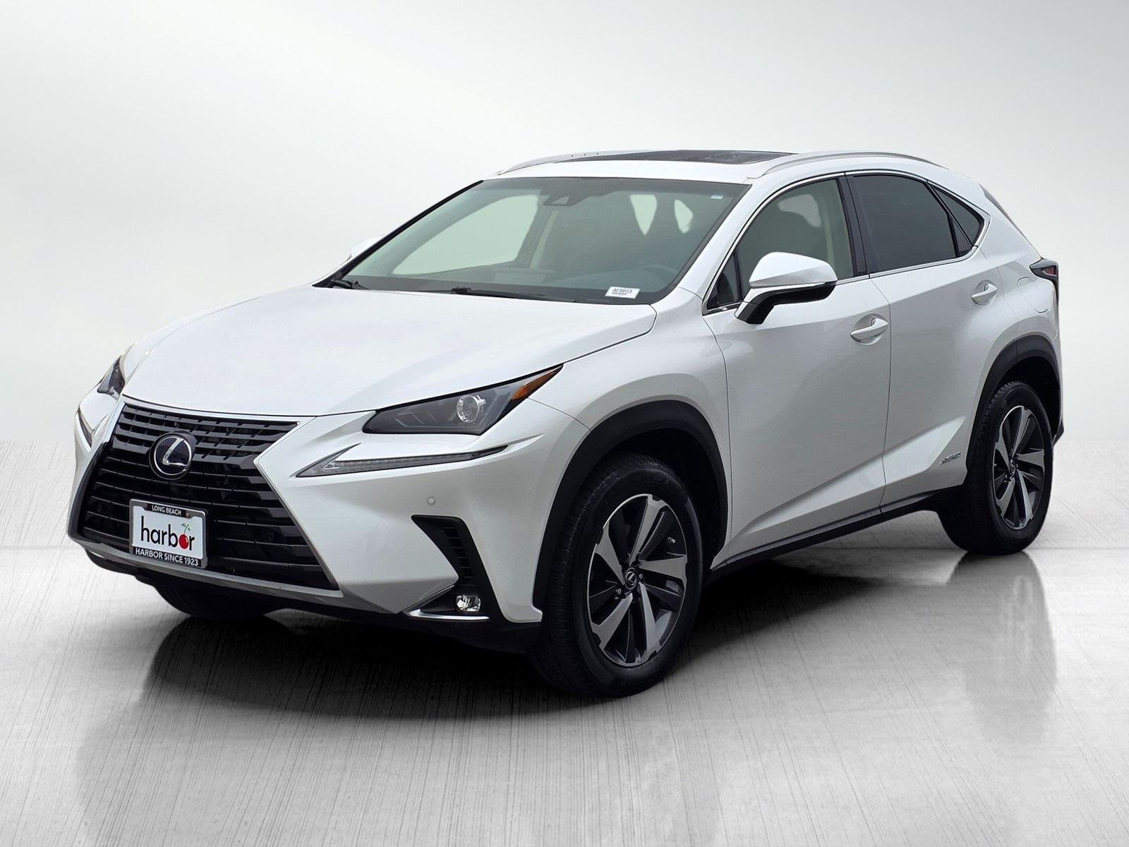 2018 Lexus NX 300h Luxury photo 3