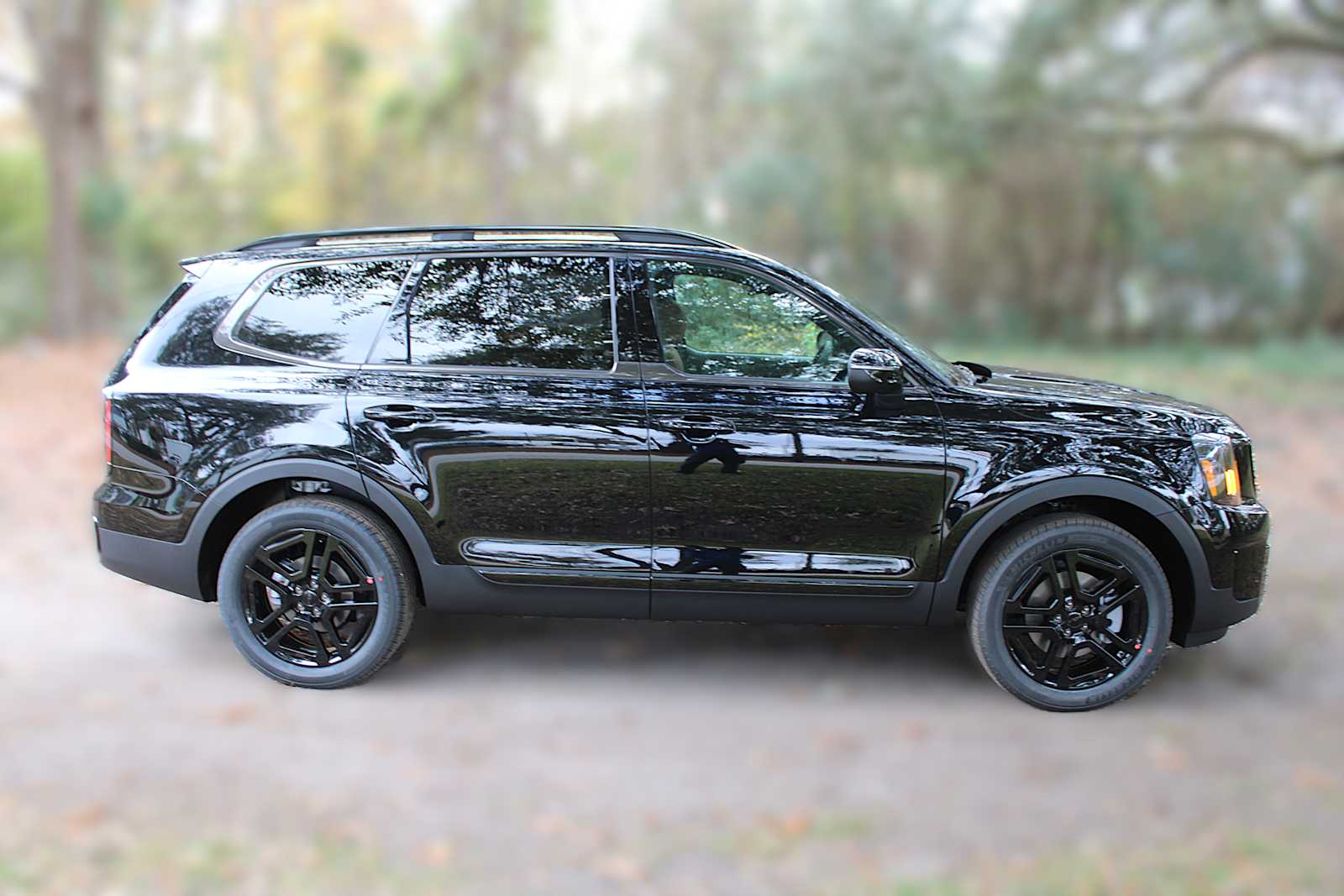 2025 Kia Telluride EX X-Line photo 4