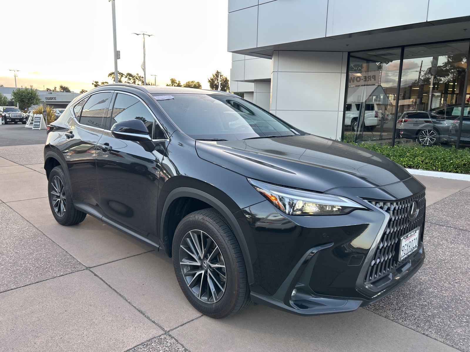 2024 Lexus NX 350 Premium photo 3