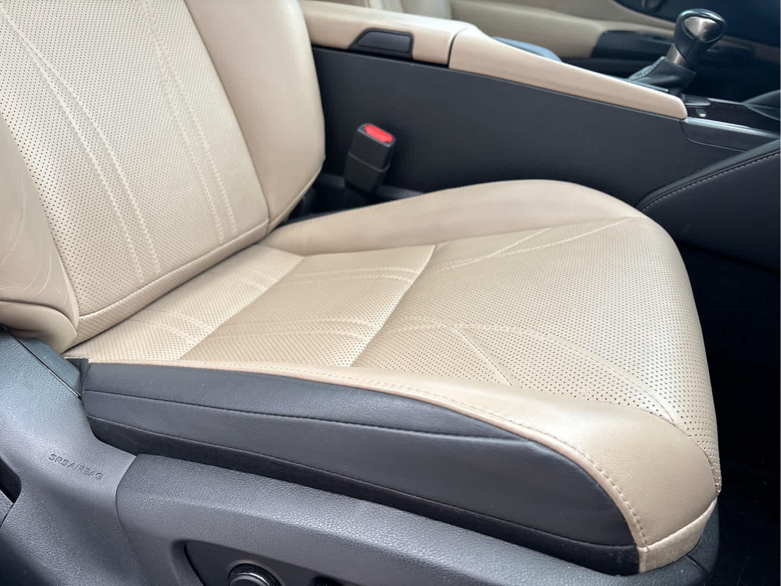 2020 Lexus ES 350 Luxury photo 10