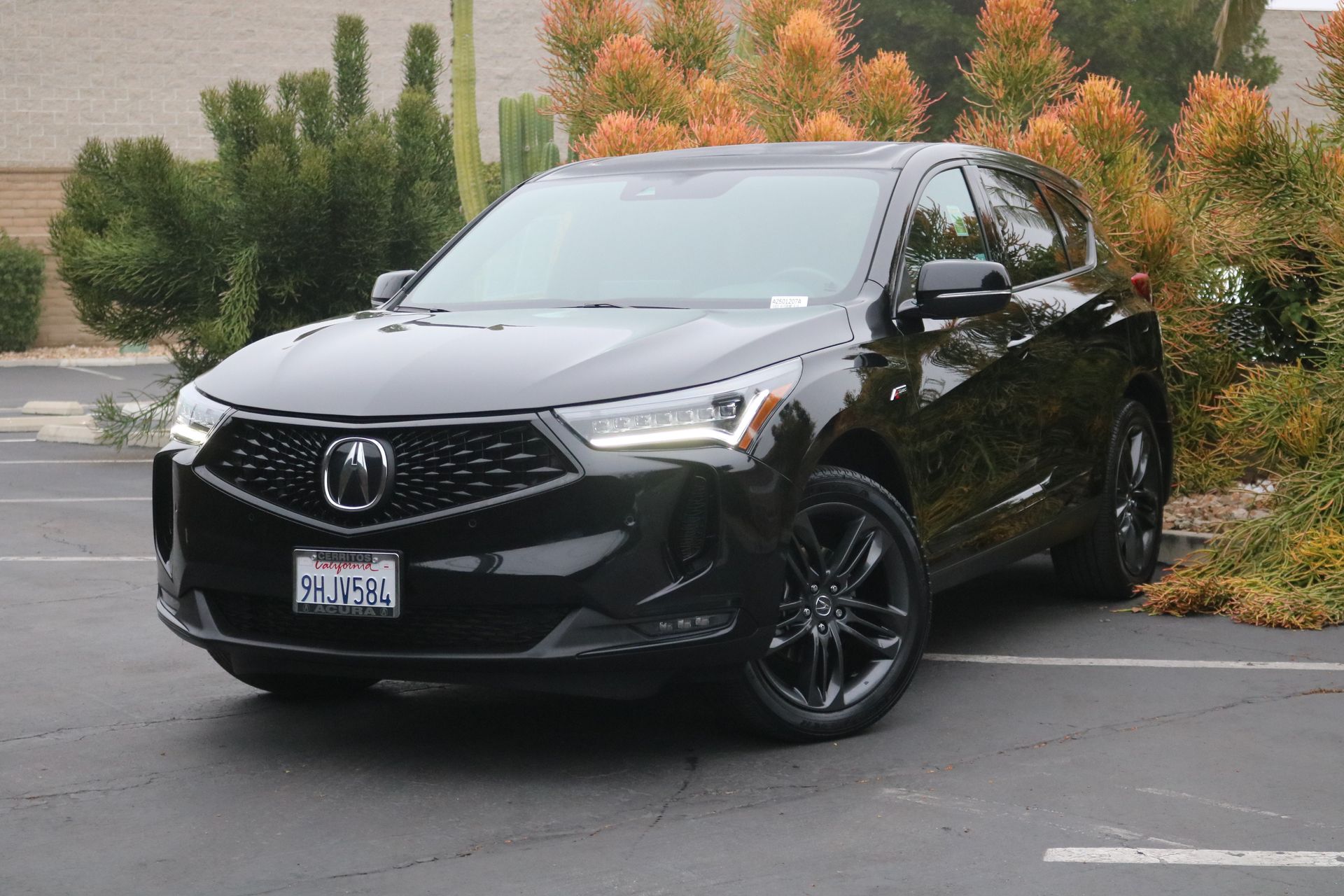 2023 Acura RDX A-Spec Package's photo