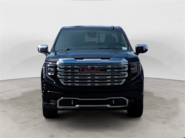 2023 Gmc Sierra 1500 Denali photo 8
