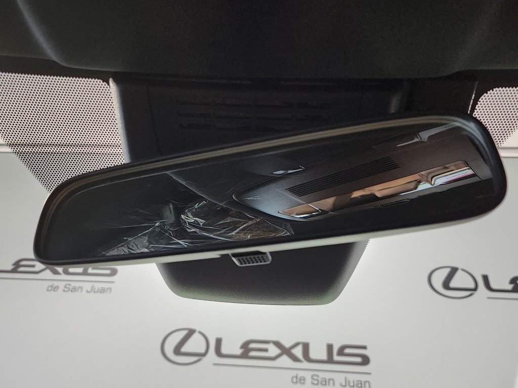 2025 Lexus UX photo 19