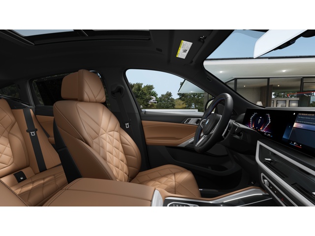 2026 Bmw X6 photo 8