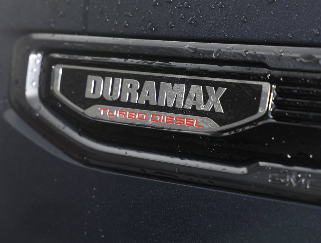 2021 Gmc Sierra 1500 AT4 photo 3