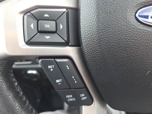 2016 Ford F-150 Platinum photo 22