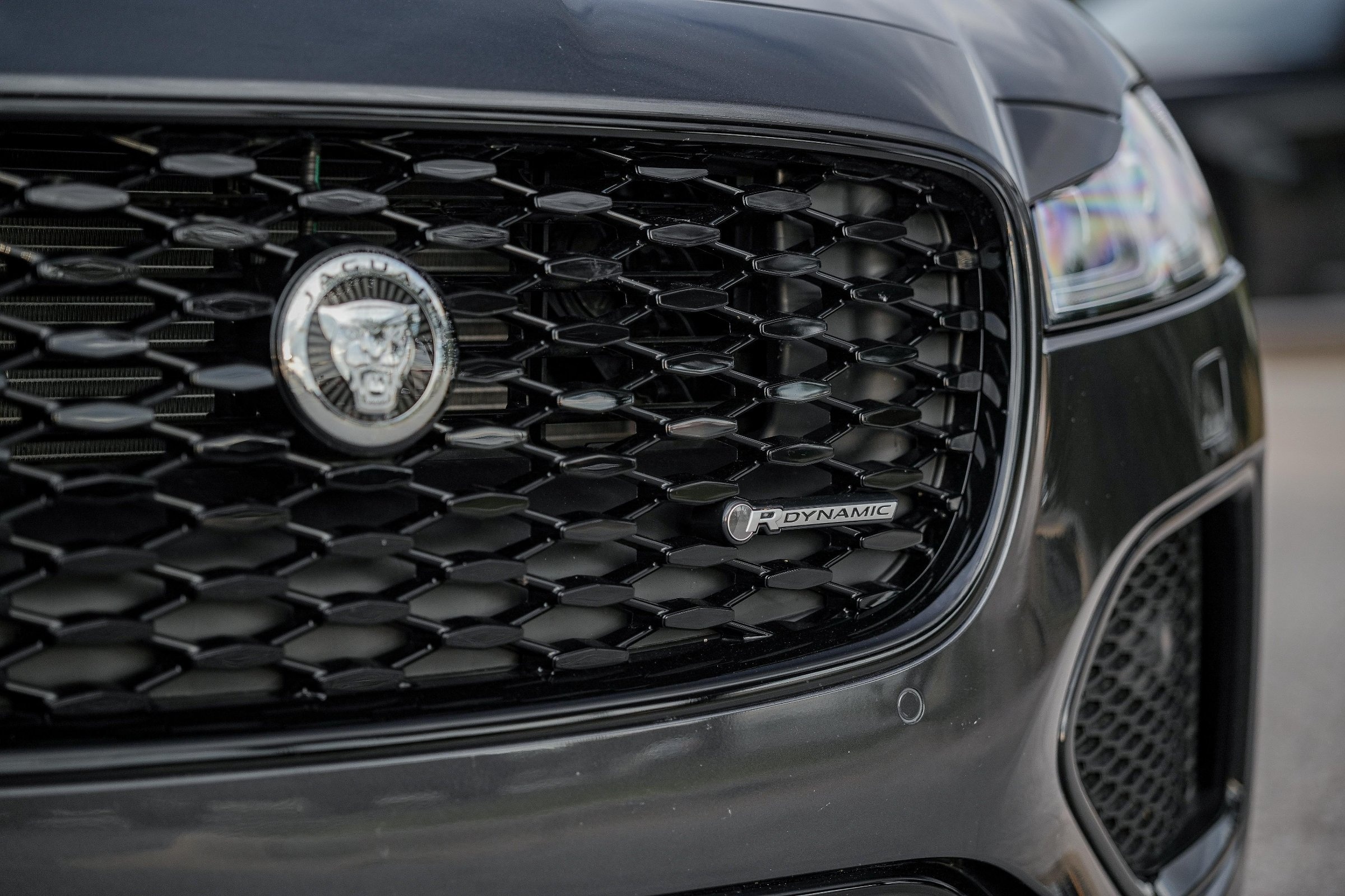 2024 Jaguar XF P300 R-Dynamic SE photo 4
