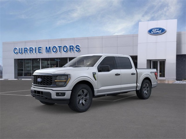 2025 Ford F-150 STX's photo