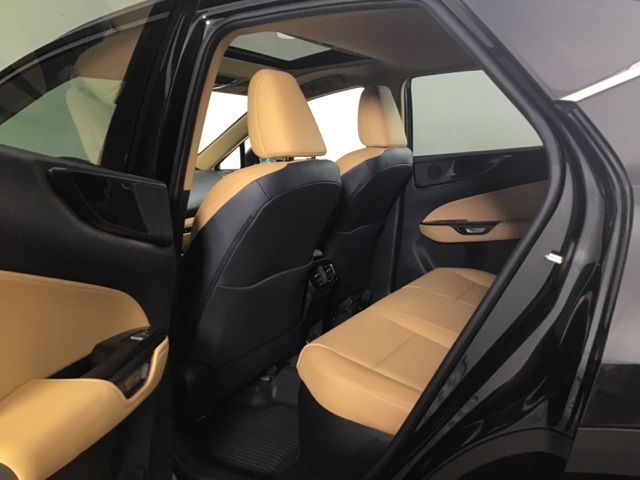 2025 Lexus NX 350h Premium photo 18