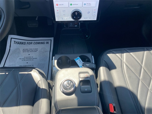2021 Ford Mustang Mach-E Select photo 11