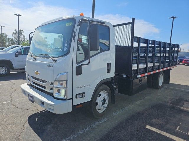 2024 Chevrolet Low Cab Forward Base's photo