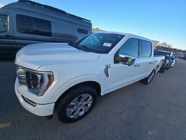 2023 Ford F-150 Platinum's photo