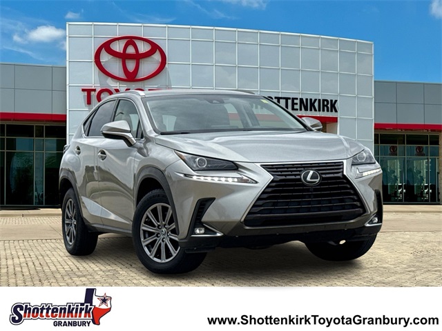 2018 Lexus NX 300's photo