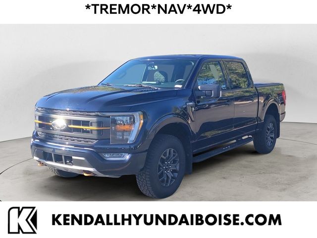 2023 Ford F-150 Tremor's photo