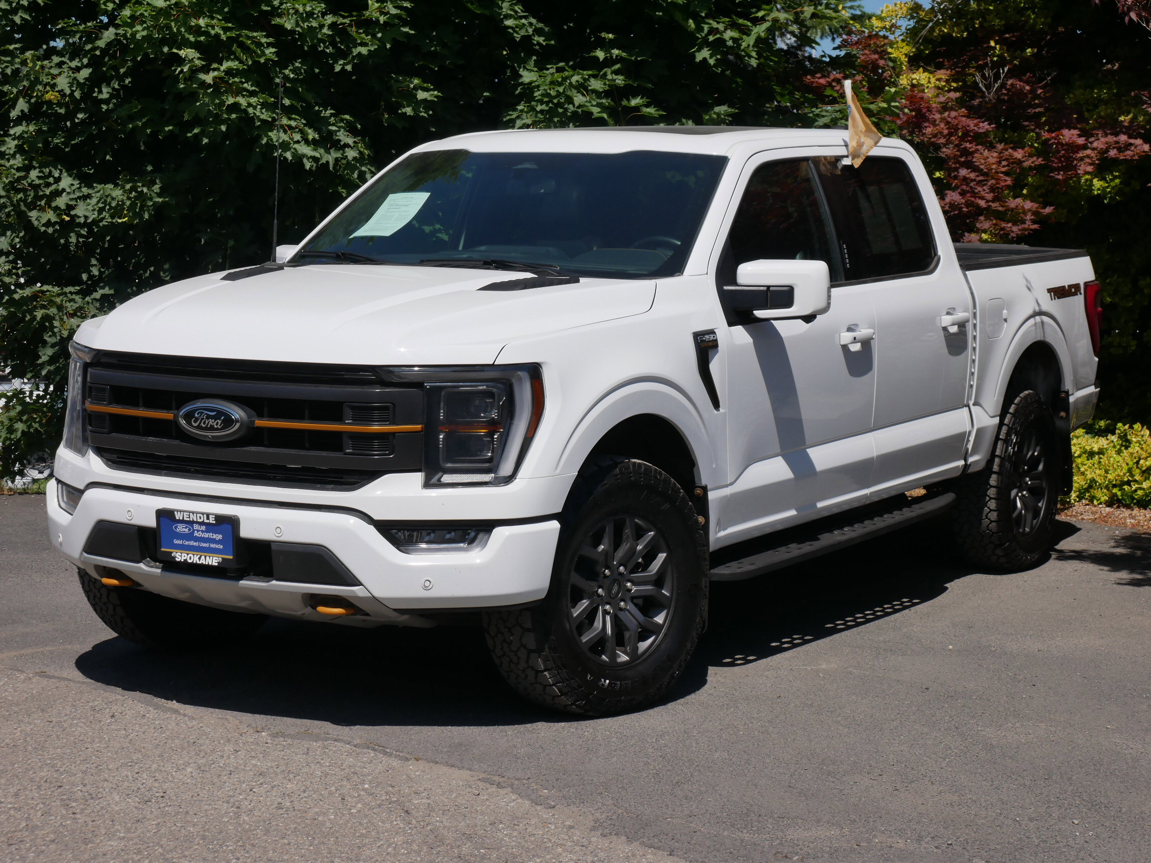 2023 Ford F-150 Tremor photo 2