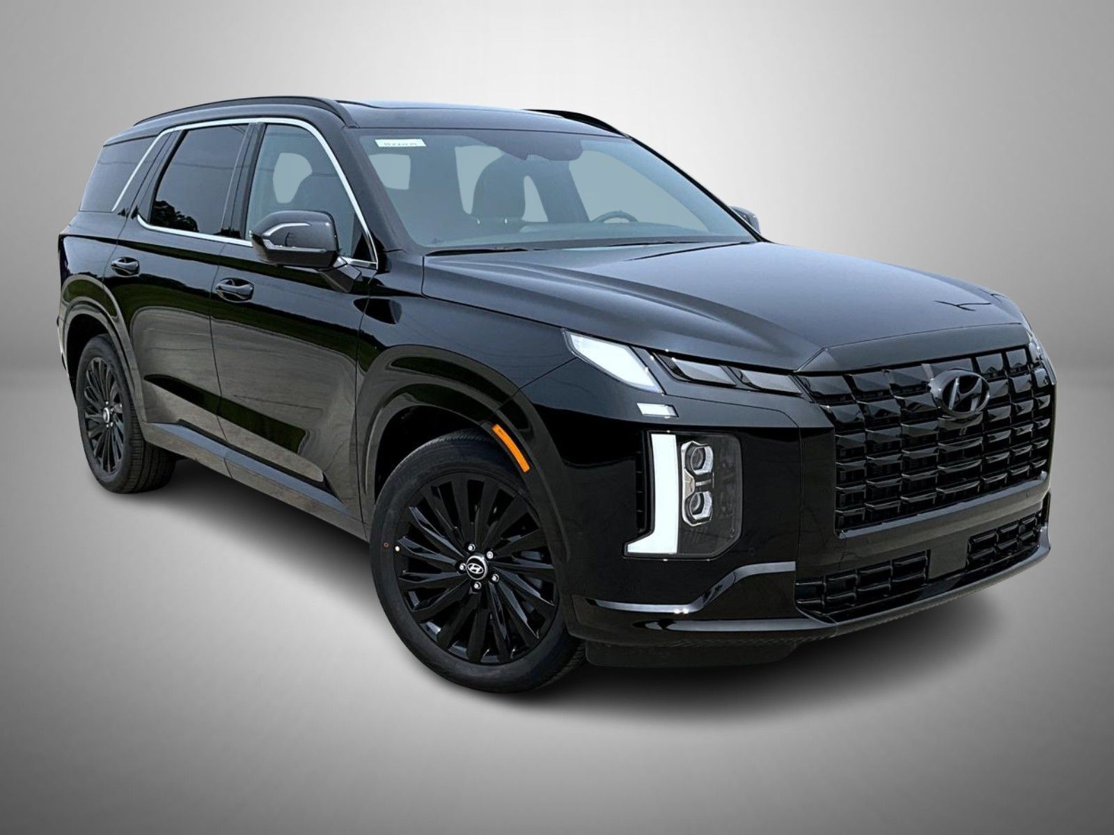 2025 Hyundai Palisade Calligraphy photo 3