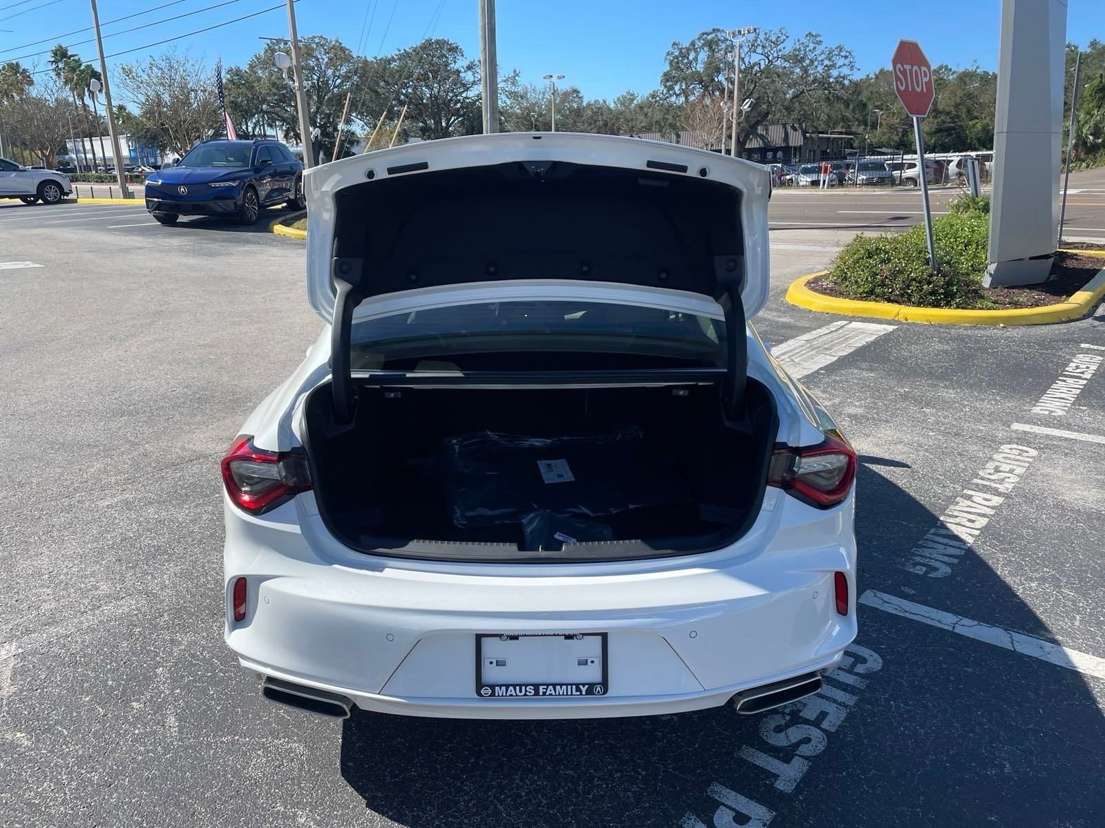 2025 Acura TLX Technology photo 17