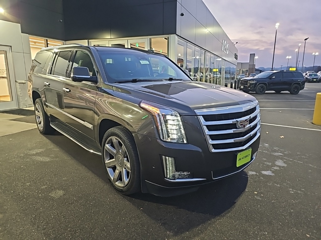 2020 Cadillac Escalade ESV Luxury photo 3