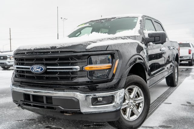 2024 Ford F-150 XLT's photo