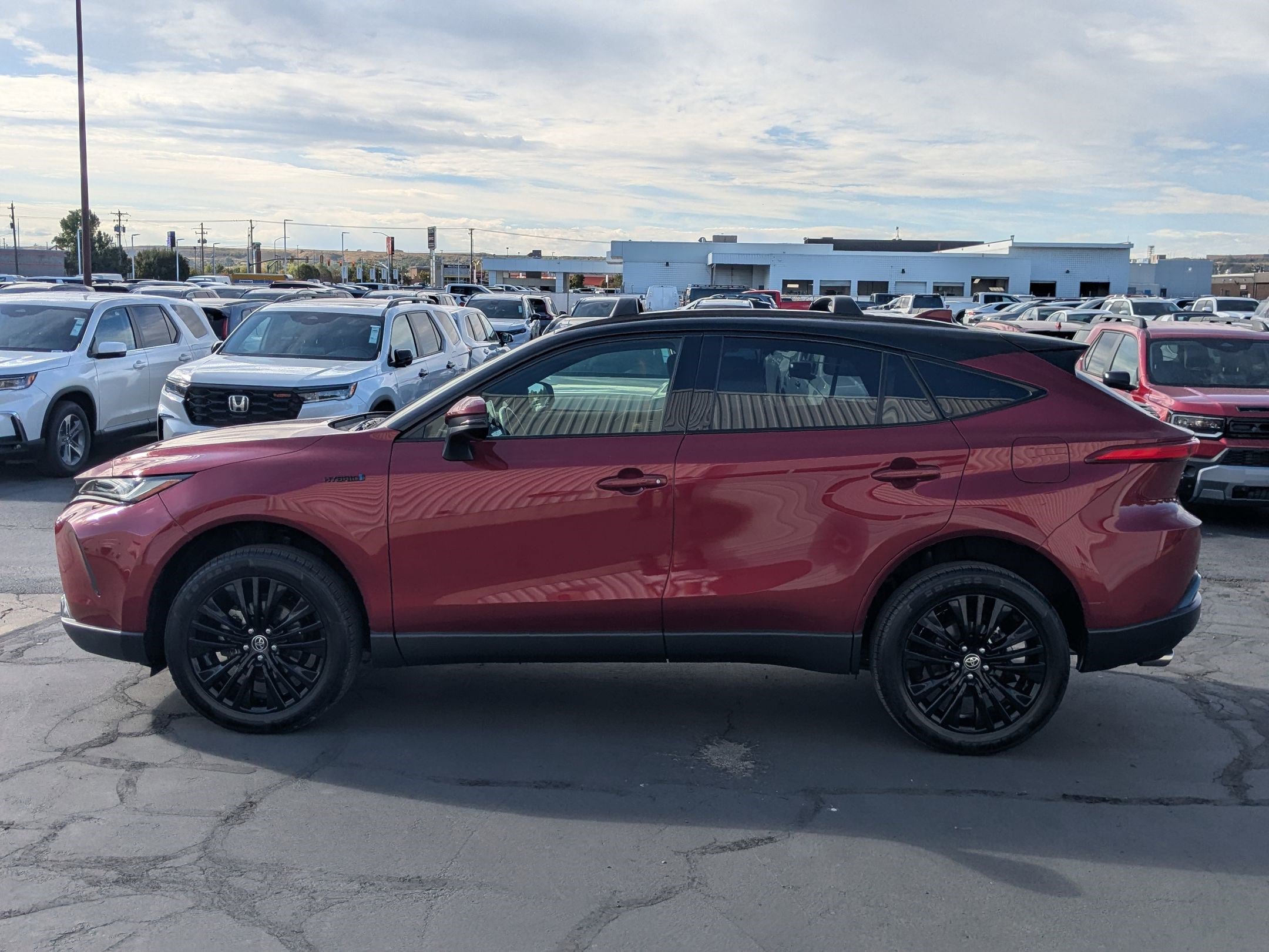 2021 Toyota Venza XLE photo 6