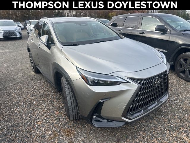 2025 Lexus NX 350's photo