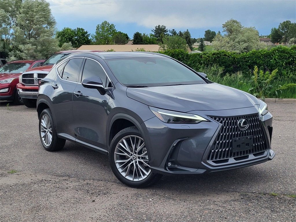 2024 Lexus NX 350h Luxury photo 2