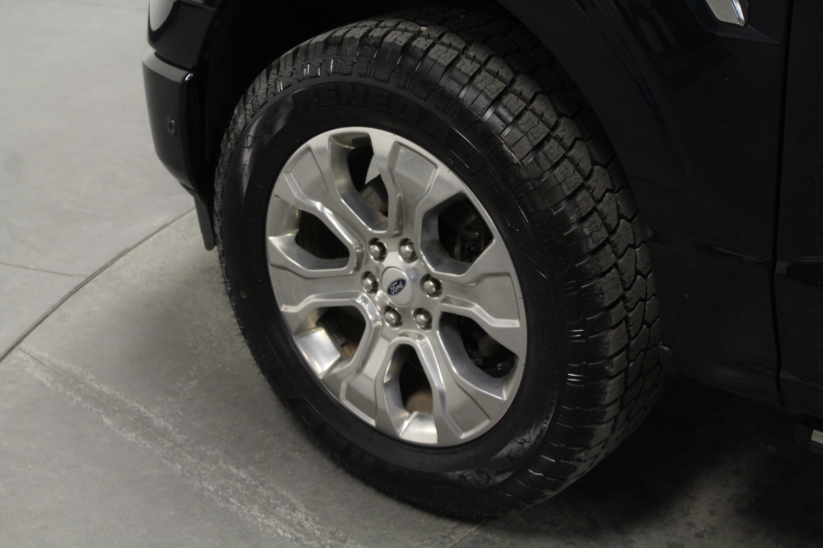 2021 Ford F-150 Platinum photo 9