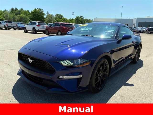 Used 2019 Kona Blue Ford EcoBoost Premium image 7
