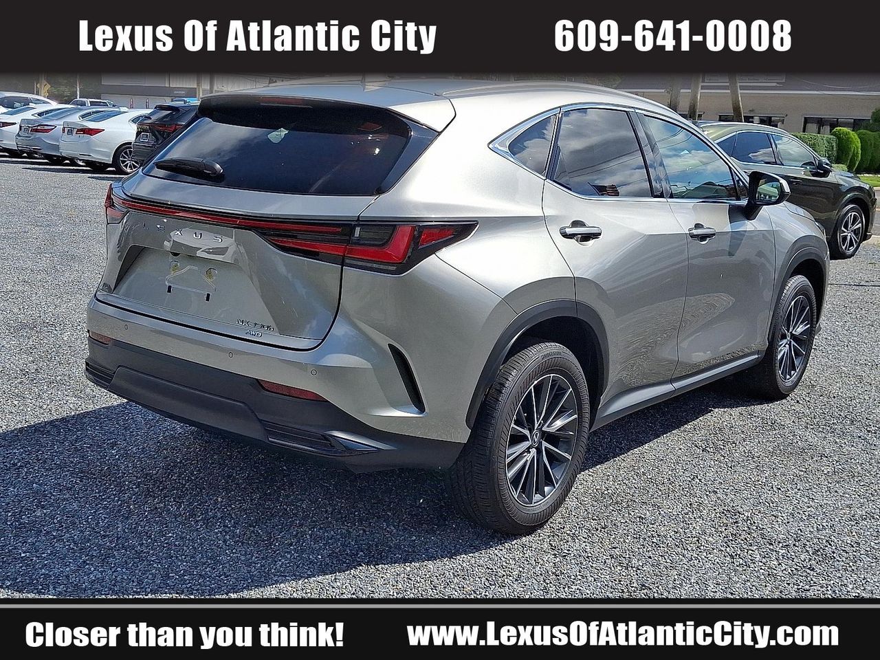 2025 Lexus NX 350h Premium photo 6