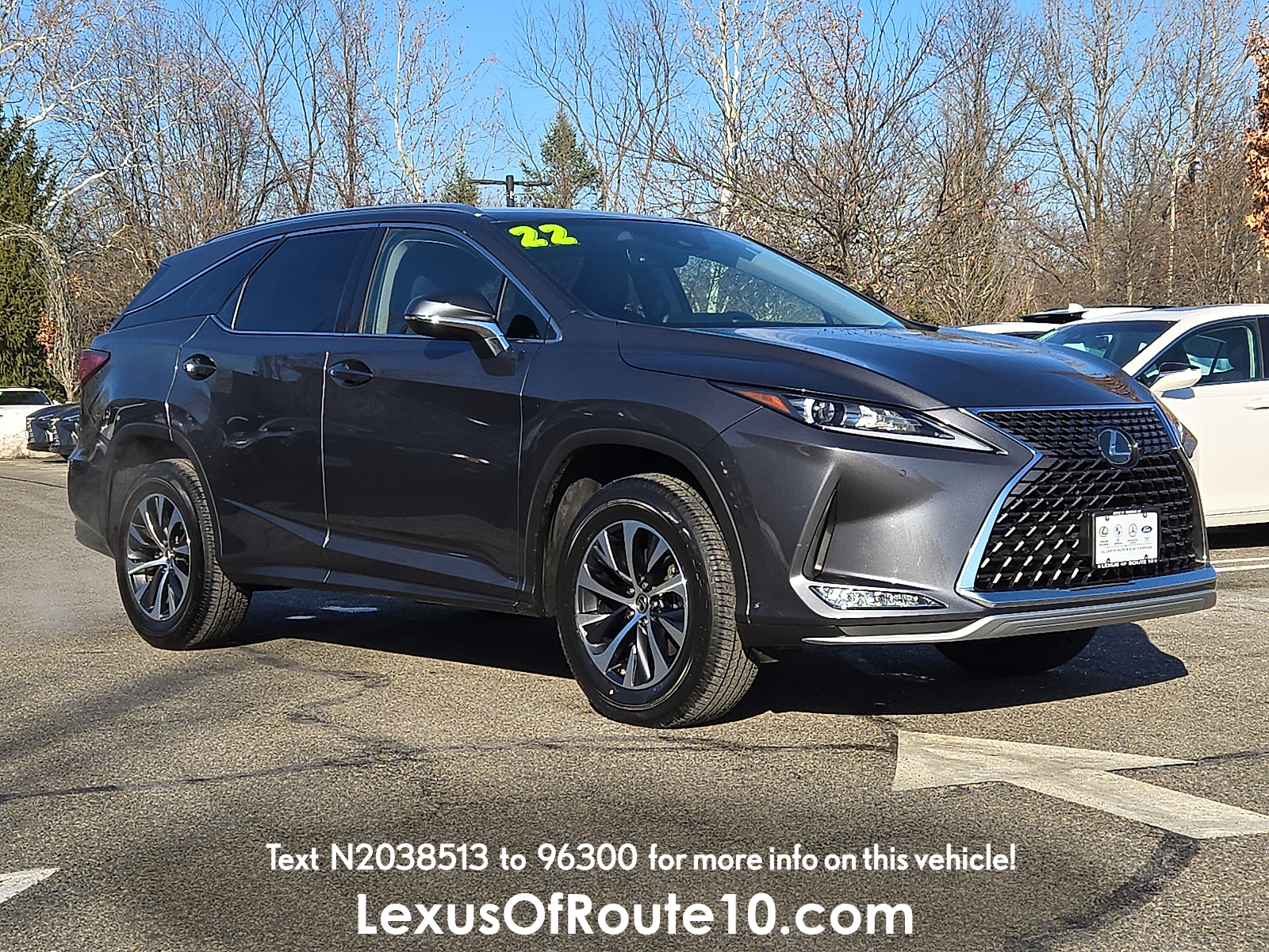 2022 Lexus RX 350's photo