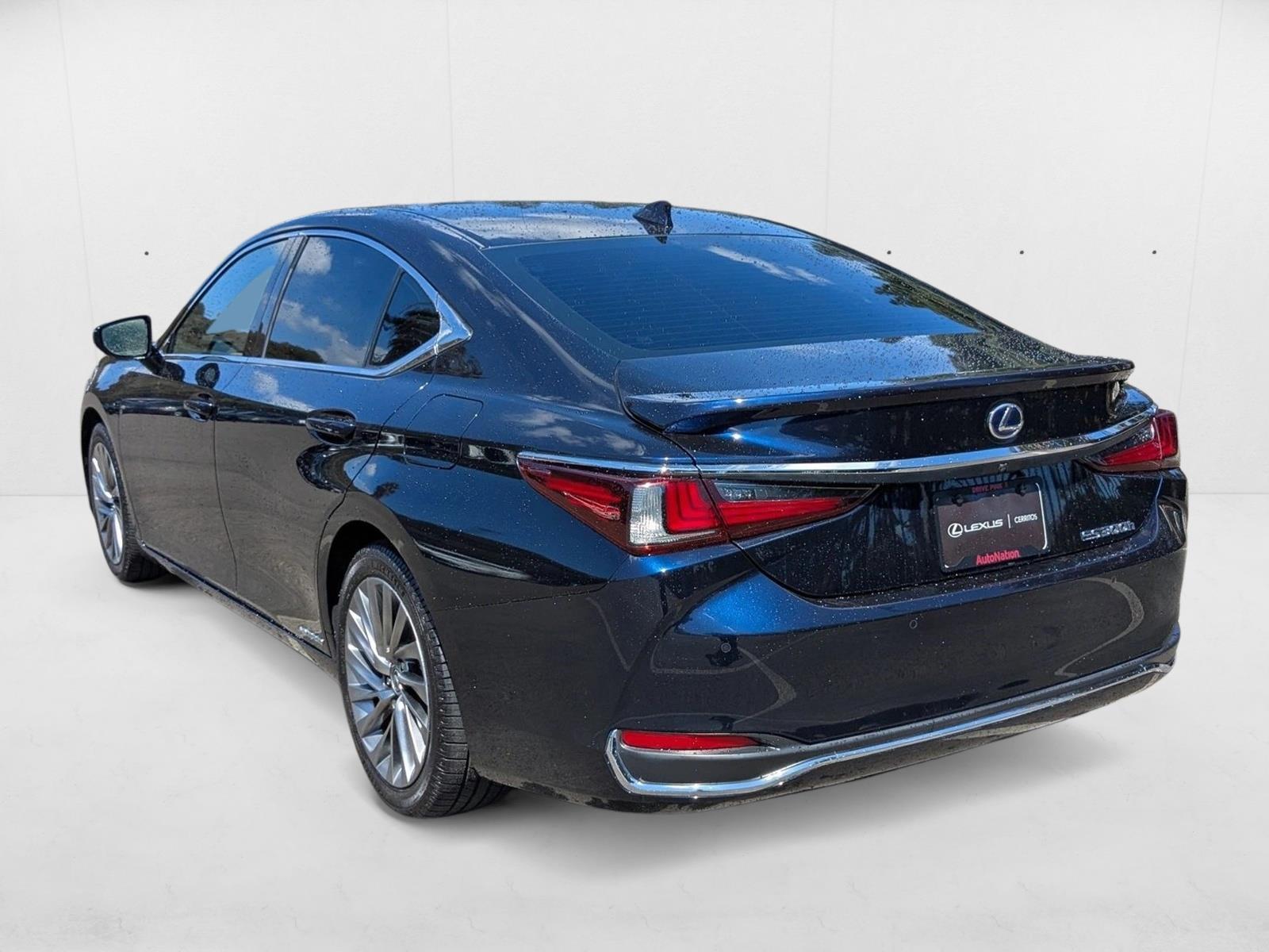 2021 Lexus ES Luxury photo 8
