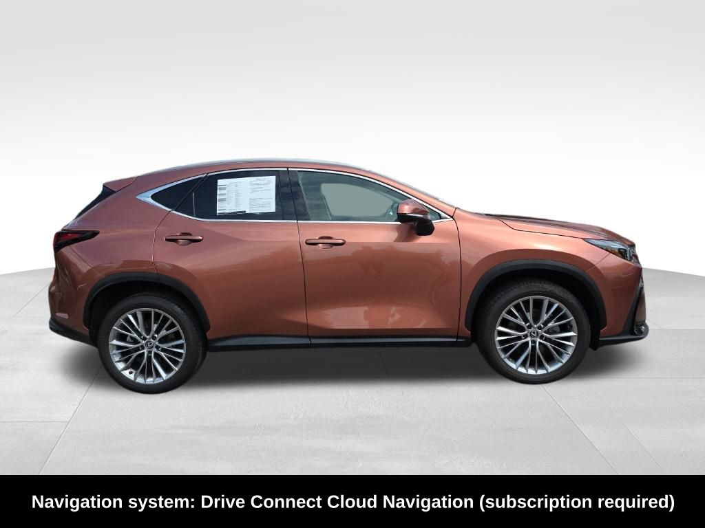 2025 Lexus NX 350 Premium photo 6