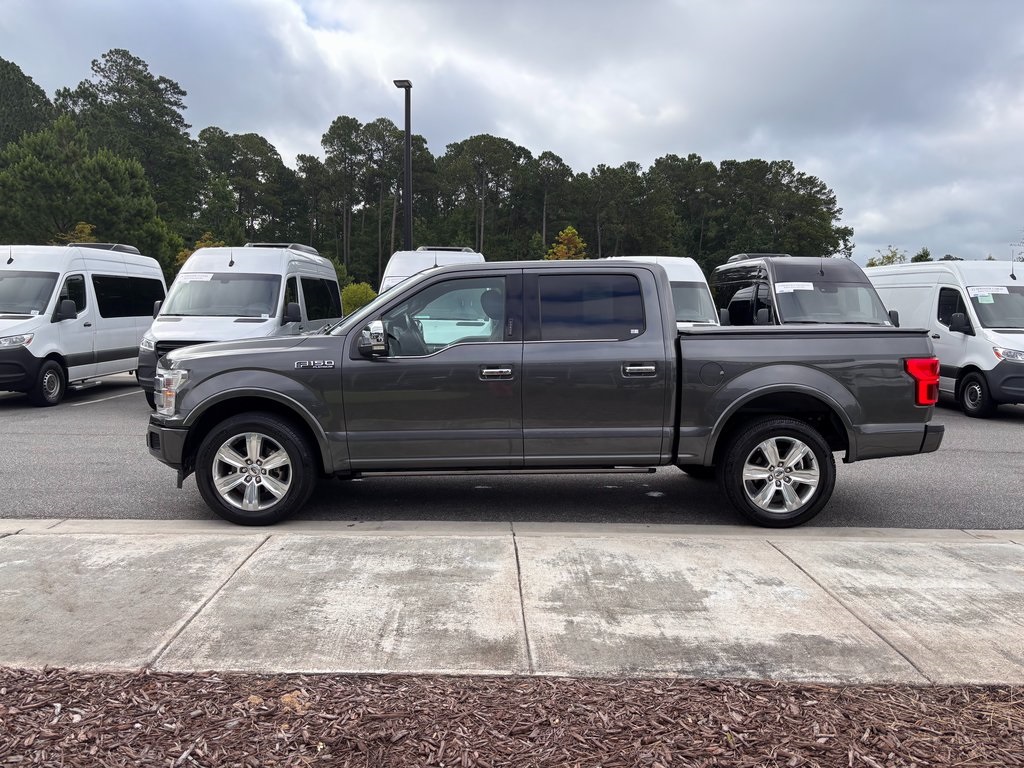 2019 Ford F-150 Platinum photo 3