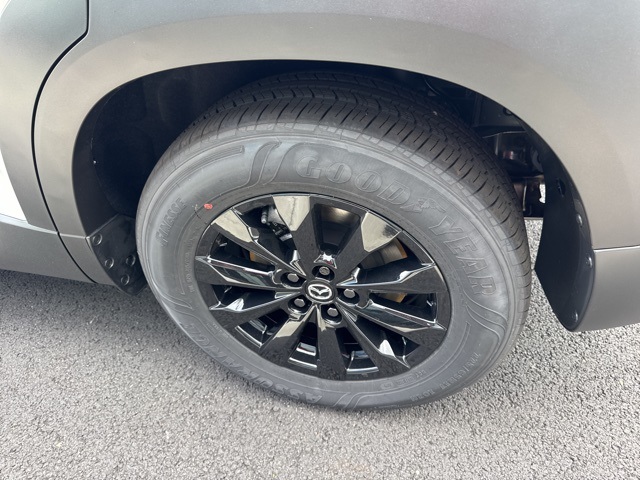 2025 Mazda CX-50 2.5 S Preferred photo 17
